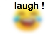 wp_emoji_laugh_eng